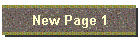 New Page 1